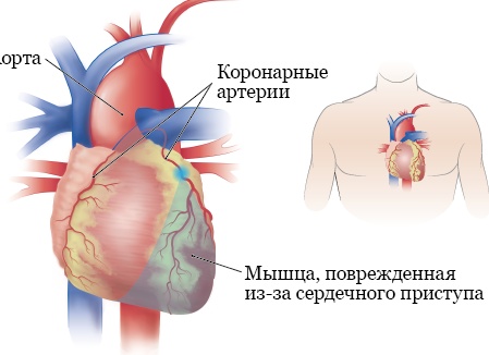 Волновая медицина: новый взгляд на здоровье