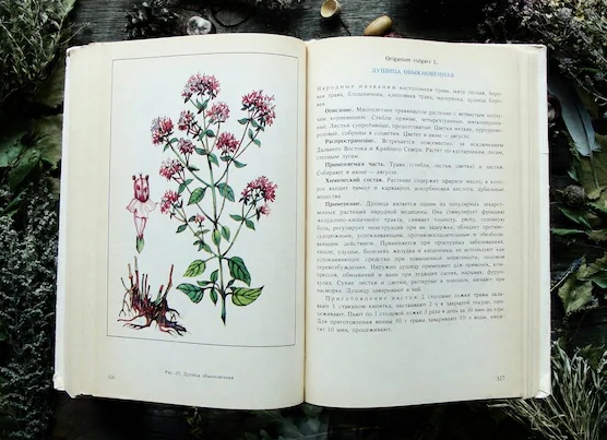 Народная медицина, глава 1