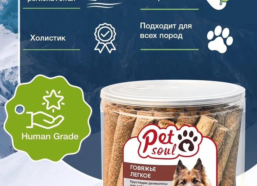 Почему медицина в регионах не соответствует стандартам