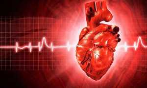 Сколько служит стент в сосудах сердца