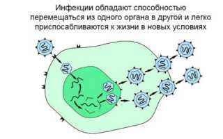 Правила нанесения макияжа в домашних условиях