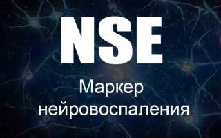 Услуга nse (нейронспецифическая енолаза) – при каких болезнях и какие врачи назначают