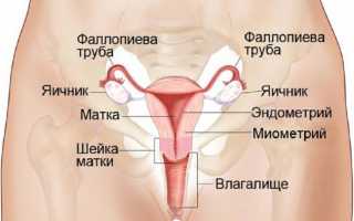 Причины и лечение болей яичников во время и после менструации