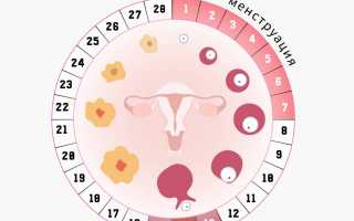 Причины задержки менструации на один день, возможность беременности