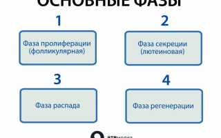 Как можно нормализовать менструационный цикл народными средствами, препаратами?