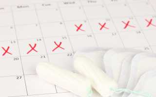 Короткий менструальный цикл, причины сокращения и последствия для организма