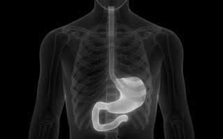 Рентгеноскопия пищевода, желудка и кишечника: проведение и результаты исследования