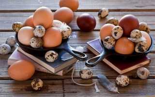 Полезны ли куриные и перепелиные яйца для потенции?