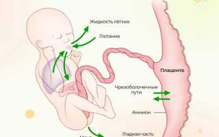 Какая норма индекса амниотической жидкости (ИАЖ) в зависимости от недели беременности