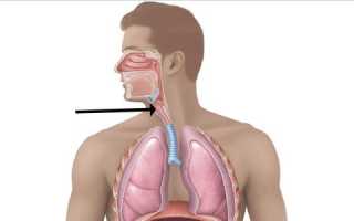 Симптомы и лечение туберкулеза гортани