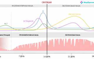 Как в норме проходит менструация и объем выделений