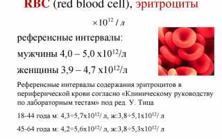 Что значит RBC в анализе крови