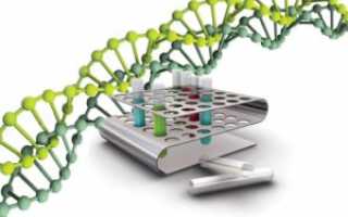ПЦР на ДНК цитомегаловируса (ЦМВ): суть метода, достоинства и недостатки, используемые материалы