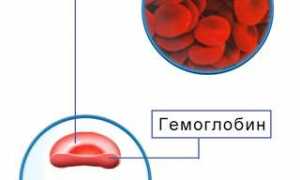 Гено фенотипическая обусловленность гемотрансфузий в медицине