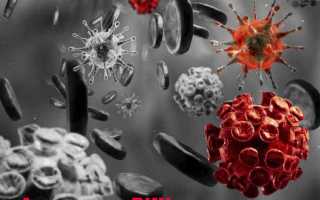 Что это значит: у вас обнаружены (не обнаружены) антитела к ВИЧ